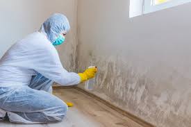 Best Biohazard Mold Removal in Chrisman, IL