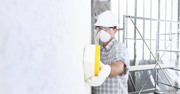 Why You Should Choose Our Mold Remediation Services in Chrisman, IL